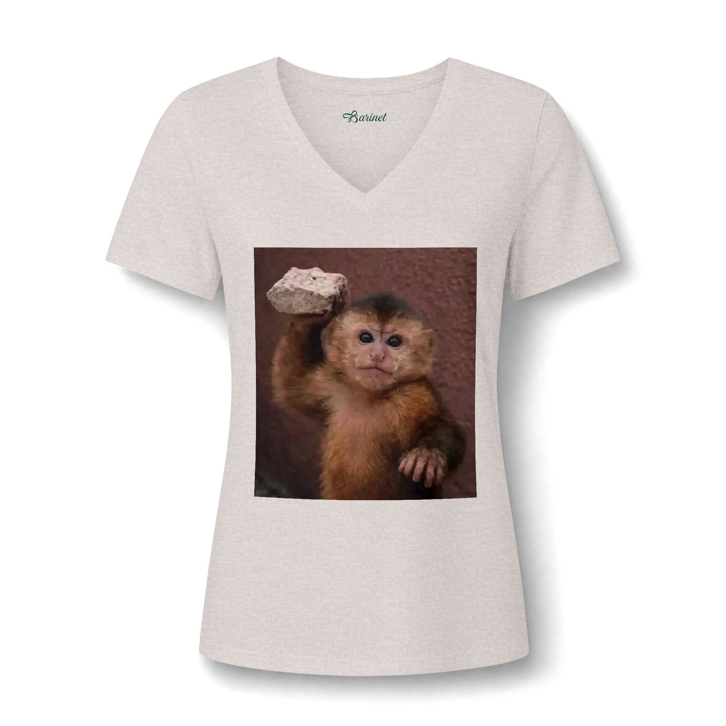 Women's Relaxed Heather CVC V-Neck Tee
